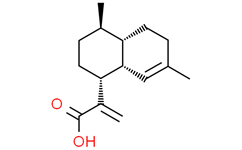  Lanolin