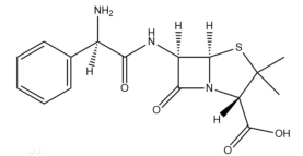 Ampicillin