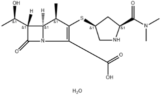 Meropenem Trihydrate